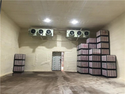 开云（中国）苹果冷库安装案例